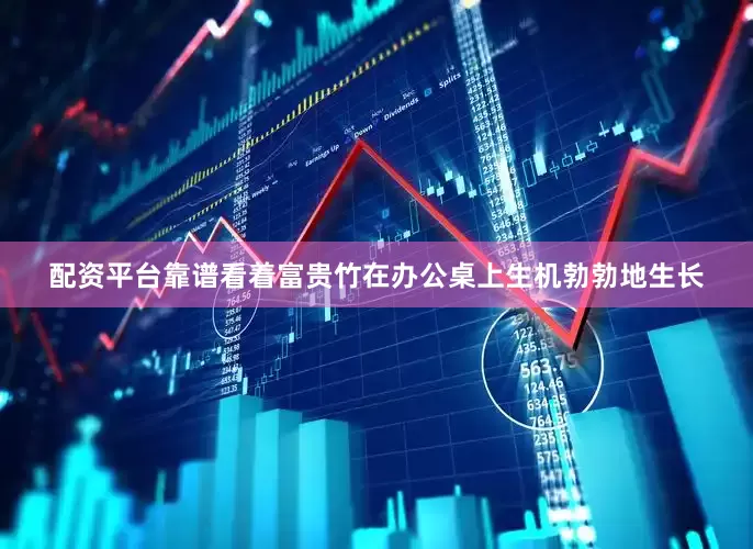 配资平台靠谱看着富贵竹在办公桌上生机勃勃地生长