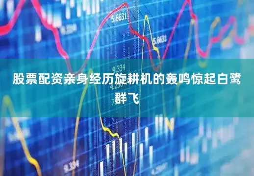 股票配资亲身经历旋耕机的轰鸣惊起白鹭群飞
